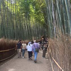 On the way up - a Babel of people