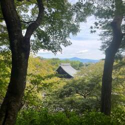 View from above the temple
