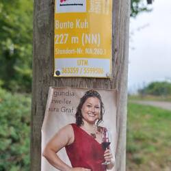 Die Burgundia, also die Weinkönigin von Ahrweiler 2024.