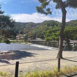Katsura River near Bamboo Grove