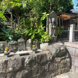 Garden moment Tenryu-ji Temple