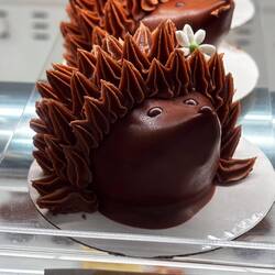 Had an afternoon café break and ate this little guy