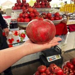 The fruits here are enormous