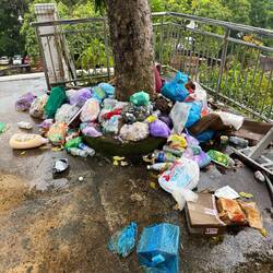 Leider immer wieder Berge von Müll