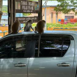 Irgendwann bekommt der Kollege li die Antenne schon noch ab