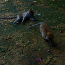 Ob wir wohl was leckeres dabei haben?