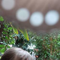 The blur at the top is a butterfly that landed on my phone lens 😂🦋