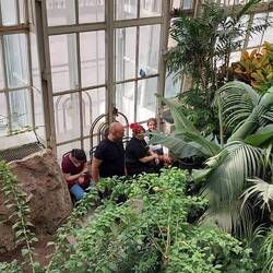 Butterfly garden overlook. The air was full of blue butterflies 🦋