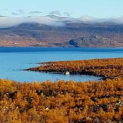 Der Torneträsk, immerhin der siebtgrößte See des Landes