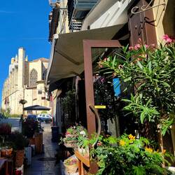 View of the Cathedral