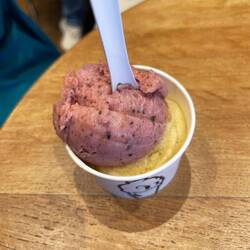Berry shiso sorbet and cantaloupe arugula sorbet