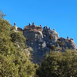 I felt like they were all staring at me