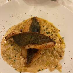 John Dory with vanilla leek cream sauce