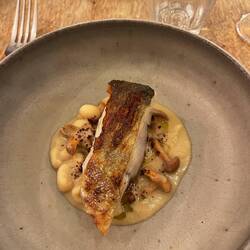 Beans with chanterelles with seared pollock