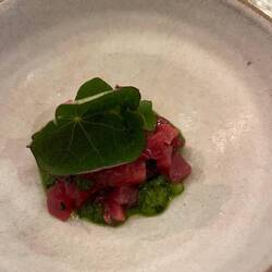 Tuna tartare with nasturtium and shiso aioli
