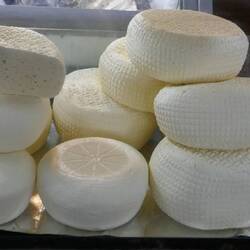 Plenty of fresh cheese