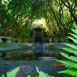 Überall plätschert es.