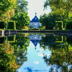 Der Salamander-Teich