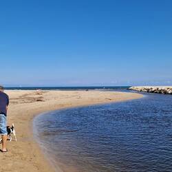 Süßwasserfluß fließt ins Meer