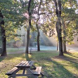 Morgenstimmung
