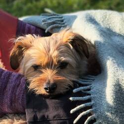 Chillen im Sonnenschein