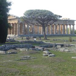 The largest temple built about 480bc