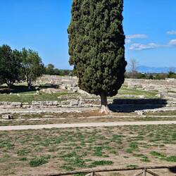 View across the site