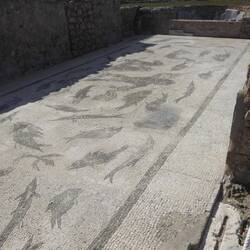 Richer man's mosaic floor