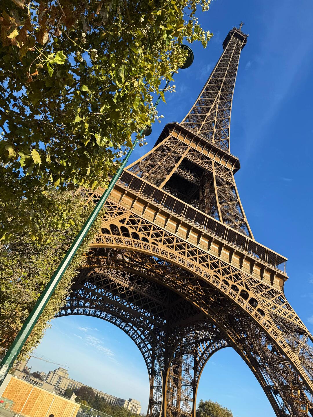 Tower. Cut out the social media crowd