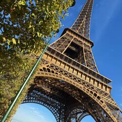 Tower. Cut out the social media crowd