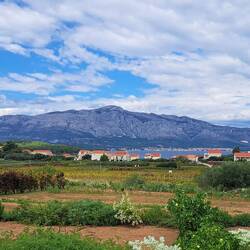 View from winery
