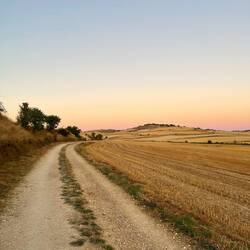 Beautiful morning in the Meseta.