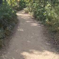 Casi casi llegando. Estos senderos son todo!