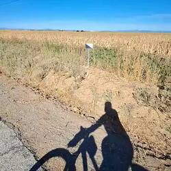 Por suerte pronto llegaron los campos de trigo