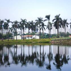 ...rechts ist der schmale Damm zu sehen..., es führt zur Hauptstraße