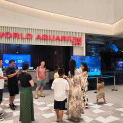 auch im ersten Untergeschoss das grösste Aquarium Hanois 🐠🐠