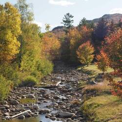 A stream at the bottom