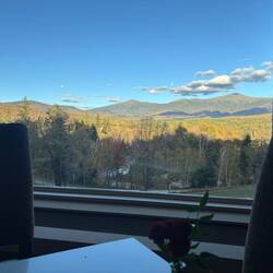 The view from the dinning room