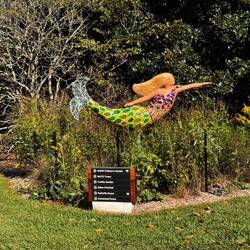 Mermaid-Symbol of Norfolk