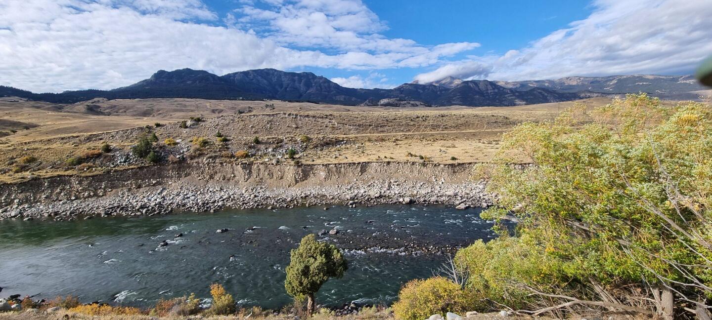 Gibbon River