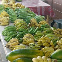 Utukalongalu Farmer’s Market