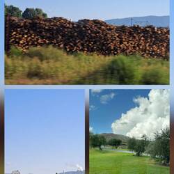 Blick aus dem Bus in Richtung Heimat