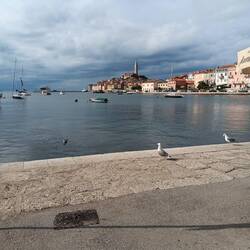 The harbor at Rohinje