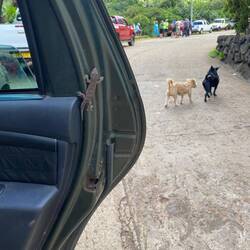 Hier hat sich ein kleiner blinder Passagier reingemogelt.