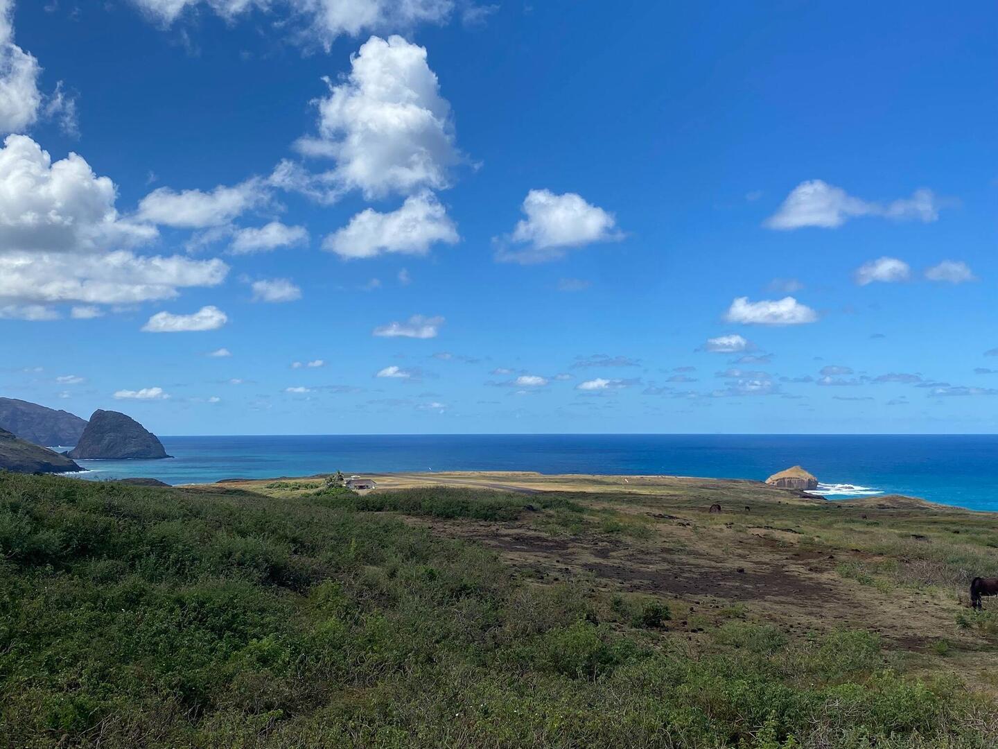 Der Flugplatz hat 5 Festangestellte: 1x Feuerwehr, 3x Tower und 1 Gärtner...für 3 Maschinen/Woche 3
