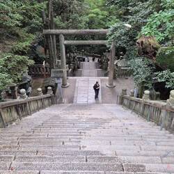 Und immer mehr Stufen