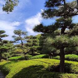 ...der Garten vom Nagoya Castle