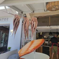 Drying octopus for the nights dinner.