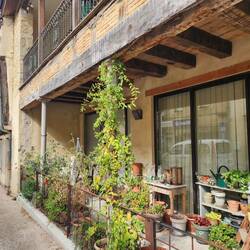 Main street of Montreal