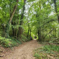 Peaceful walk